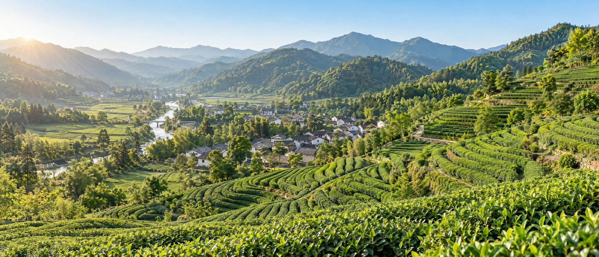 Tea-Country Endeavours in Wuyishan and Gankeng, Guangze